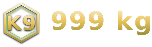 999 kg logo